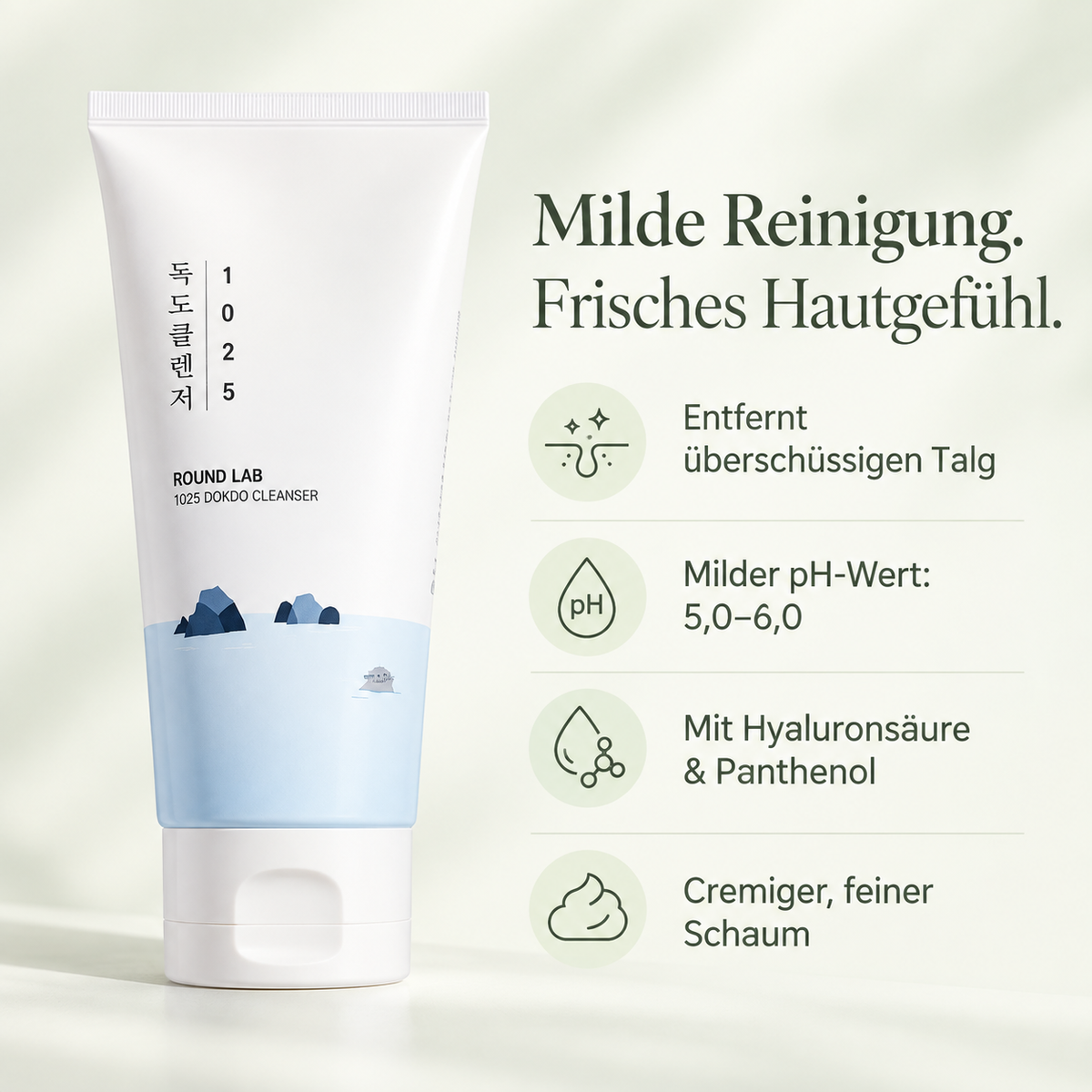 Round Lab 1025 Dokdo Cleanser